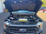 2023 F-150 Thumbnail 19