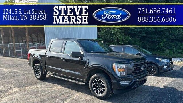 Preowned 2023 Ford F-150 XL for Sale