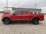 2023 F-150 Thumbnail 6