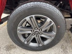2023 F-150 Thumbnail 19