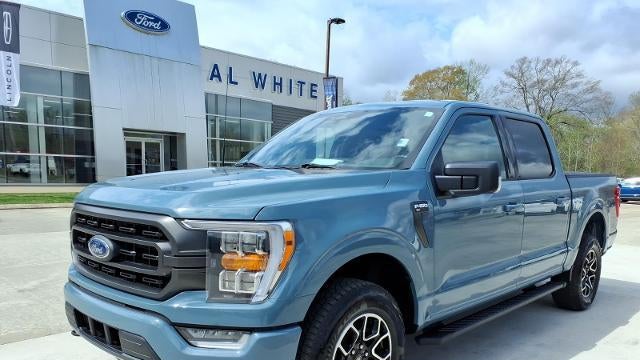 Preowned 2023 Ford F-150 XL for Sale