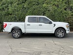 2023 F-150 Thumbnail 4