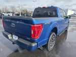 2023 F-150 Thumbnail 11