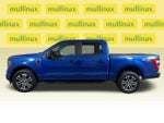 2023 F-150 Thumbnail 12
