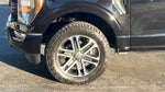 2023 F-150 Thumbnail 6