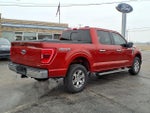 2023 F-150 Thumbnail 3