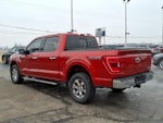 2023 F-150 Thumbnail 4