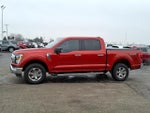 2023 F-150 Thumbnail 5