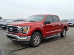 2023 F-150 Thumbnail 6