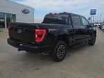 2023 F-150 Thumbnail 4