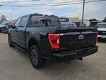 2023 F-150 Thumbnail 6