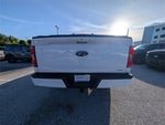 2023 F-150 Thumbnail 11