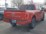 2023 F-150 Thumbnail 4