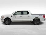 2023 F-150 Thumbnail 9
