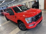 2023 F-150 Thumbnail 11