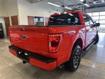 2023 F-150 Thumbnail 13
