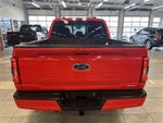 2023 F-150 Thumbnail 14