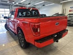 2023 F-150 Thumbnail 15