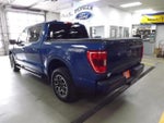 2023 F-150 Thumbnail 3