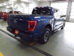 2023 F-150 Thumbnail 5