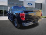 2023 F-150 Thumbnail 5