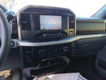 2023 F-150 Thumbnail 10