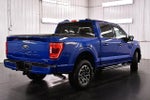 2023 F-150 Thumbnail 7