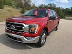 2023 F-150 Thumbnail 8