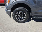 2023 F-150 Thumbnail 9