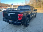 2023 F-150 Thumbnail 4