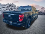 2023 F-150 Thumbnail 4