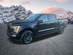 2023 F-150 Thumbnail 8