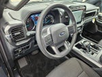 2023 F-150 Thumbnail 13