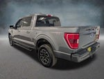 2023 F-150 Thumbnail 6