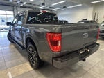 2023 F-150 Thumbnail 15