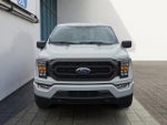 2023 F-150 Thumbnail 8