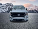 2023 F-150 Thumbnail 4
