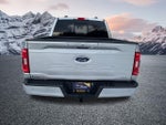 2023 F-150 Thumbnail 8