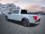 2023 F-150 Thumbnail 10