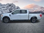 2023 F-150 Thumbnail 11