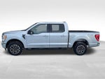 2023 F-150 Thumbnail 11