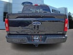 2023 F-150 Thumbnail 5