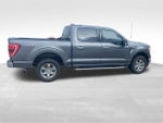 2023 F-150 Thumbnail 4