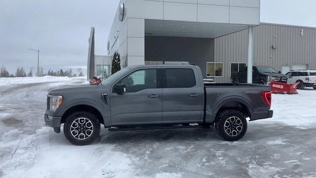 Preowned 2023 Ford F-150 XLT for Sale
