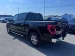 2023 F-150 Thumbnail 3