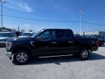 2023 F-150 Thumbnail 5