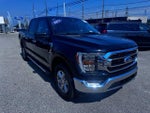 2023 F-150 Thumbnail 24