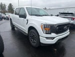 2023 F-150 Thumbnail 3