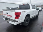 2023 F-150 Thumbnail 6