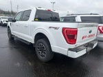 2023 F-150 Thumbnail 8